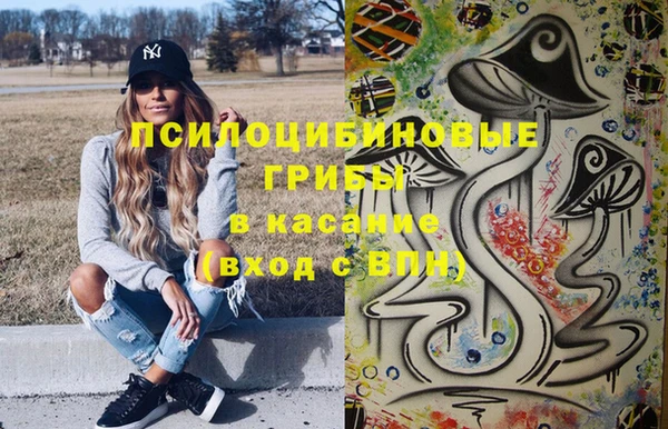 ешки Алексин