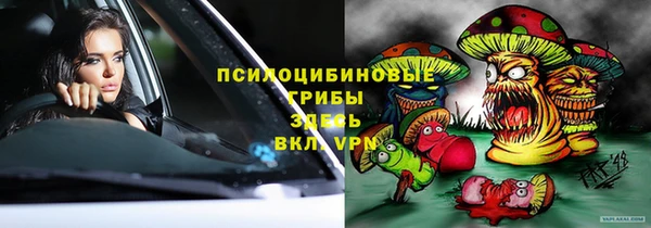 скорость Алзамай