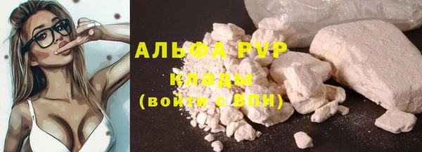 ешки Алексин