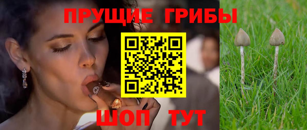 Псилоцибиновые грибы прущие грибы  Вход с VPN  Волжский 